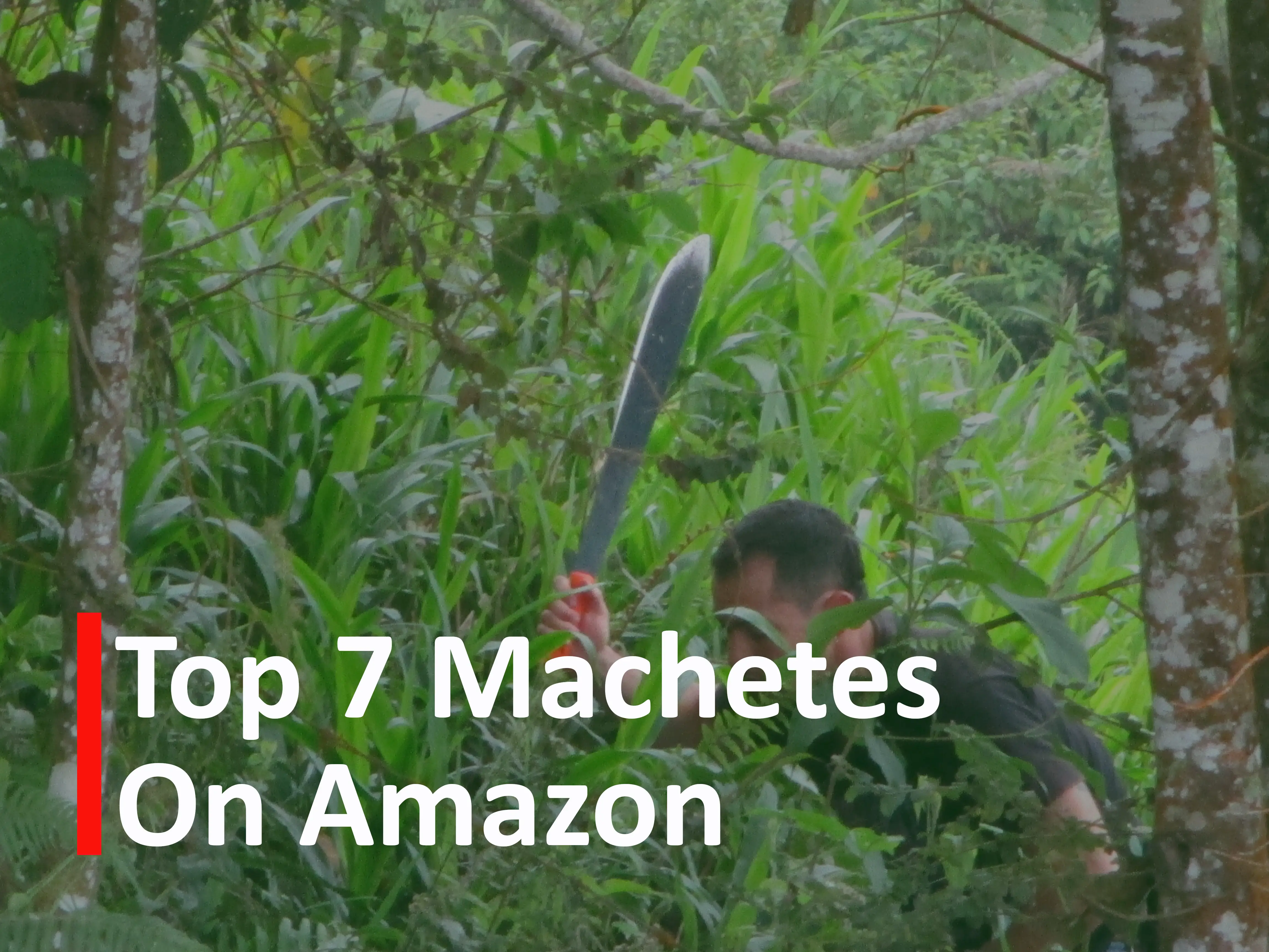 Illustration for Top 7 Machetes on Amazon
