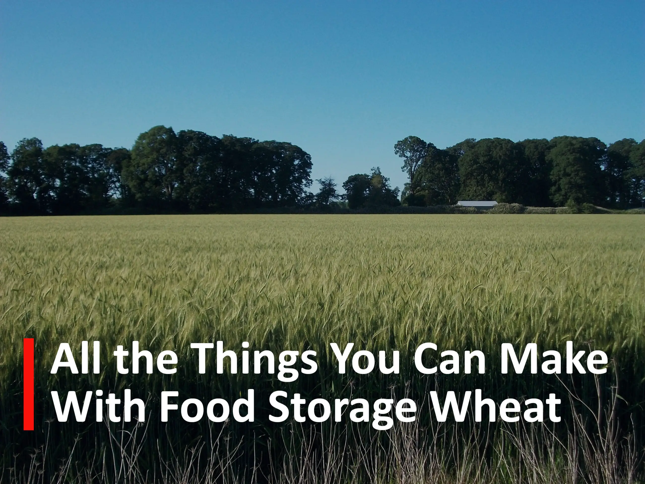 All the things you can make with food storage wheat