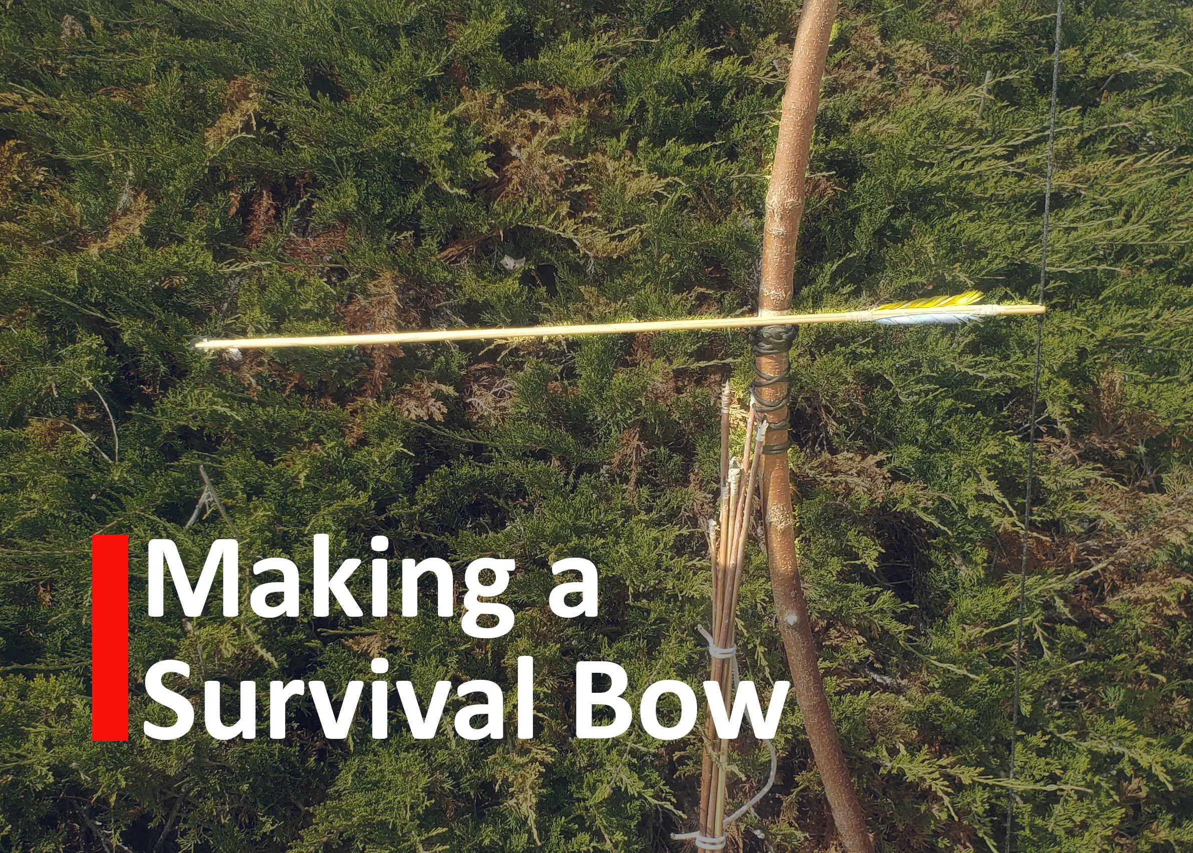 Making a survival bow and arrow title image