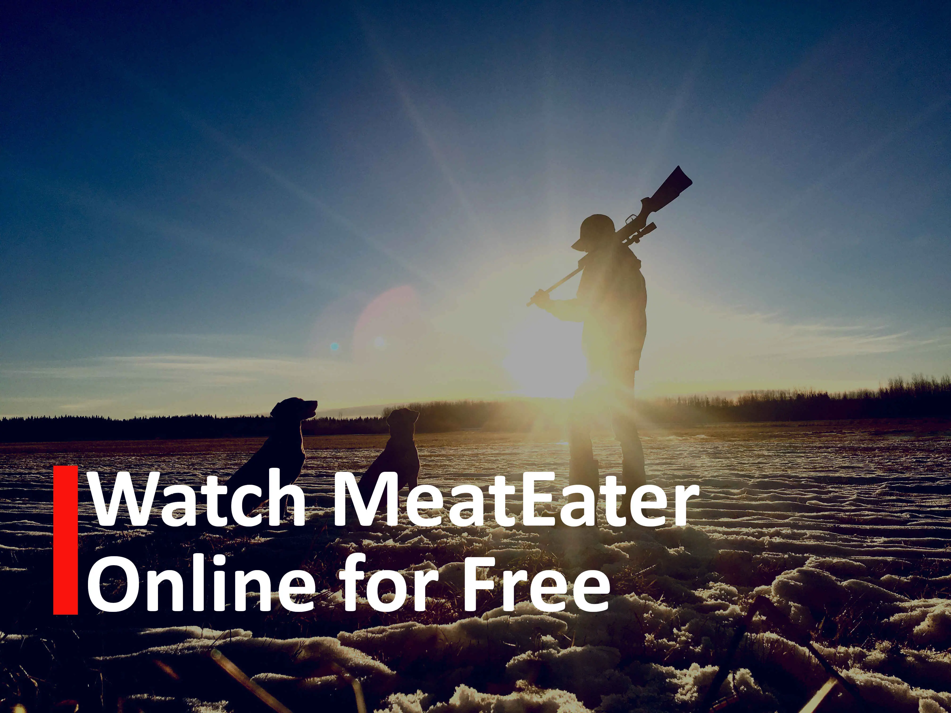 watch meateater online free