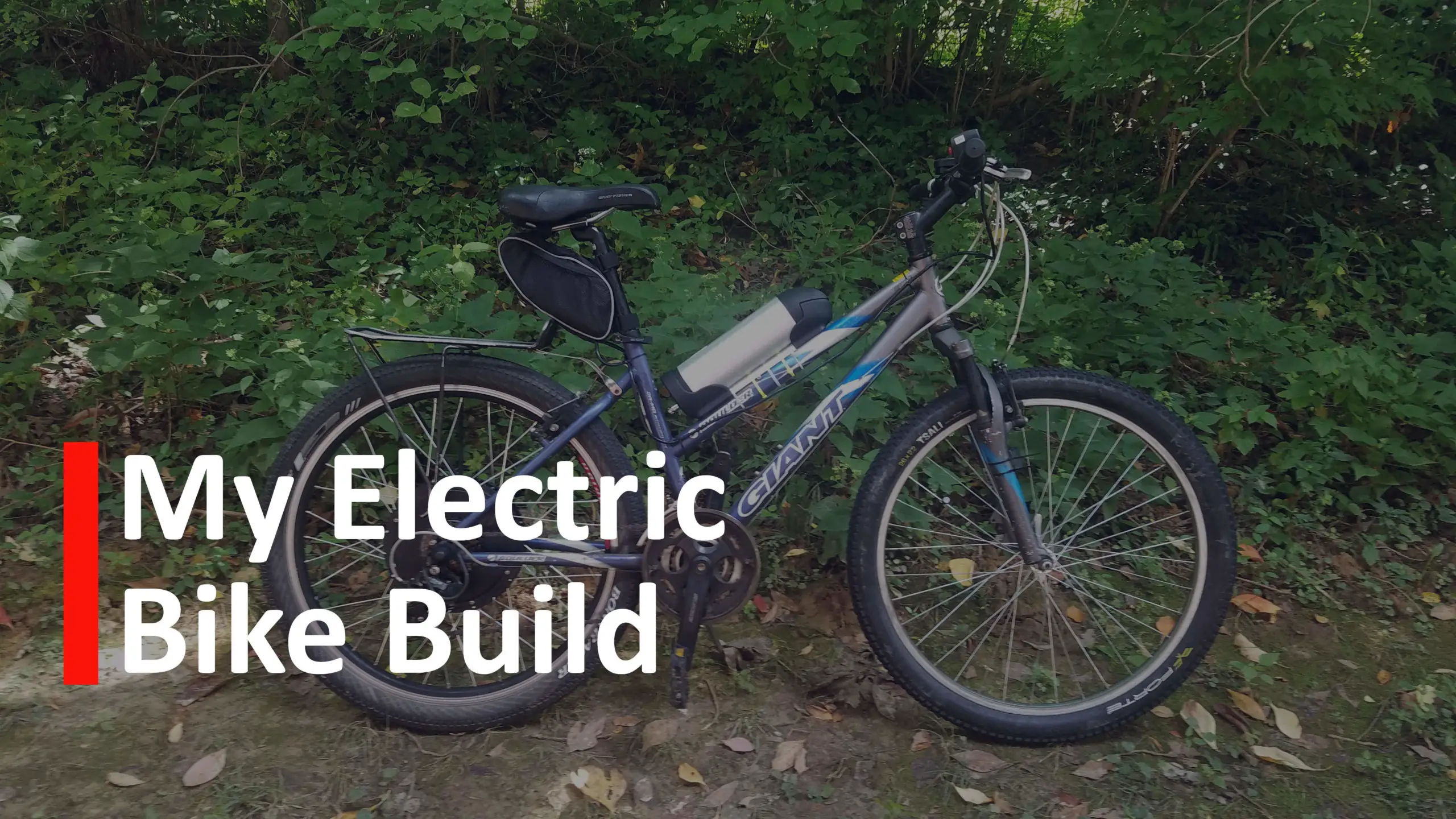 electric bike build