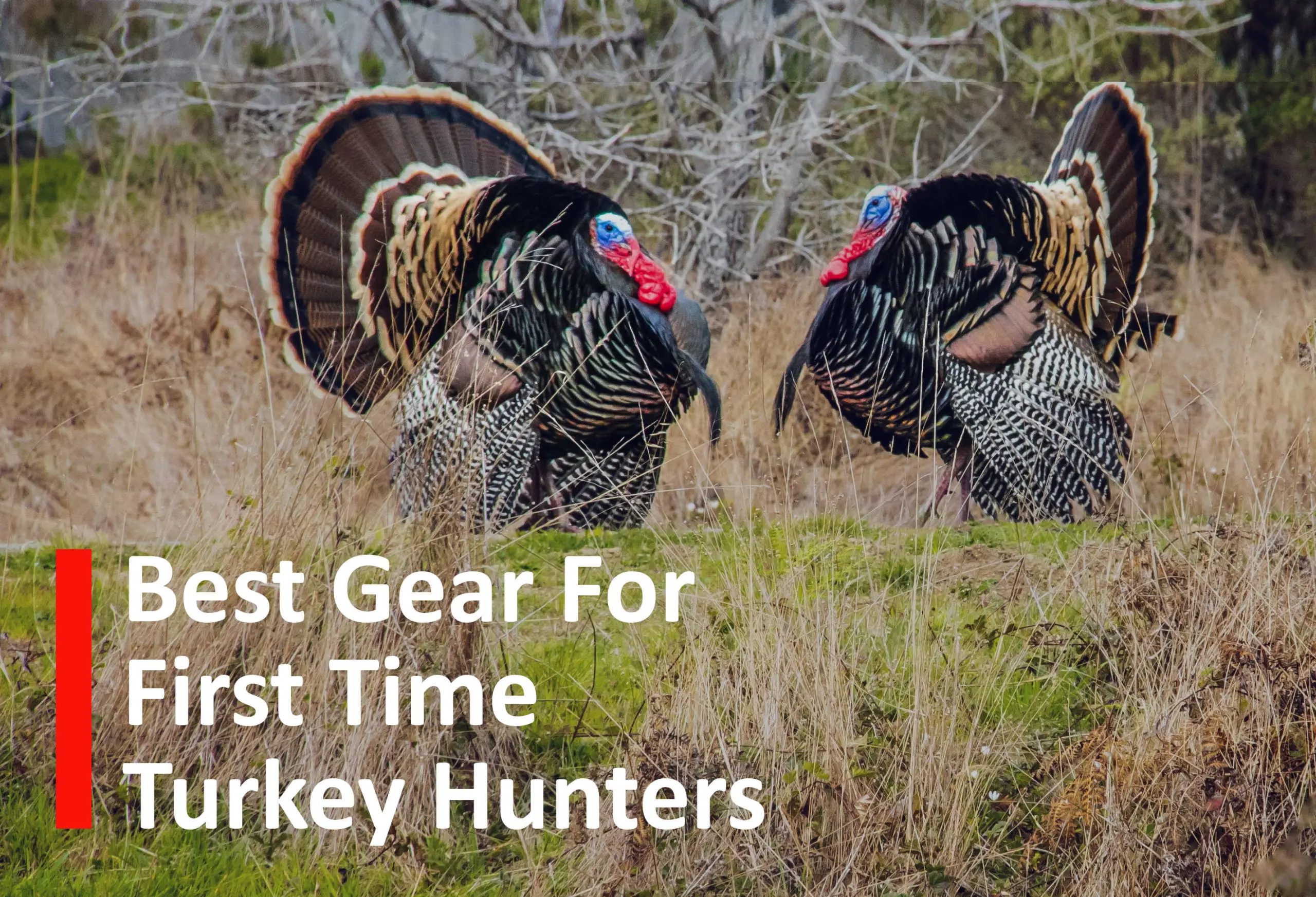 Title image for Best Gear for First Time Turkey Hunters