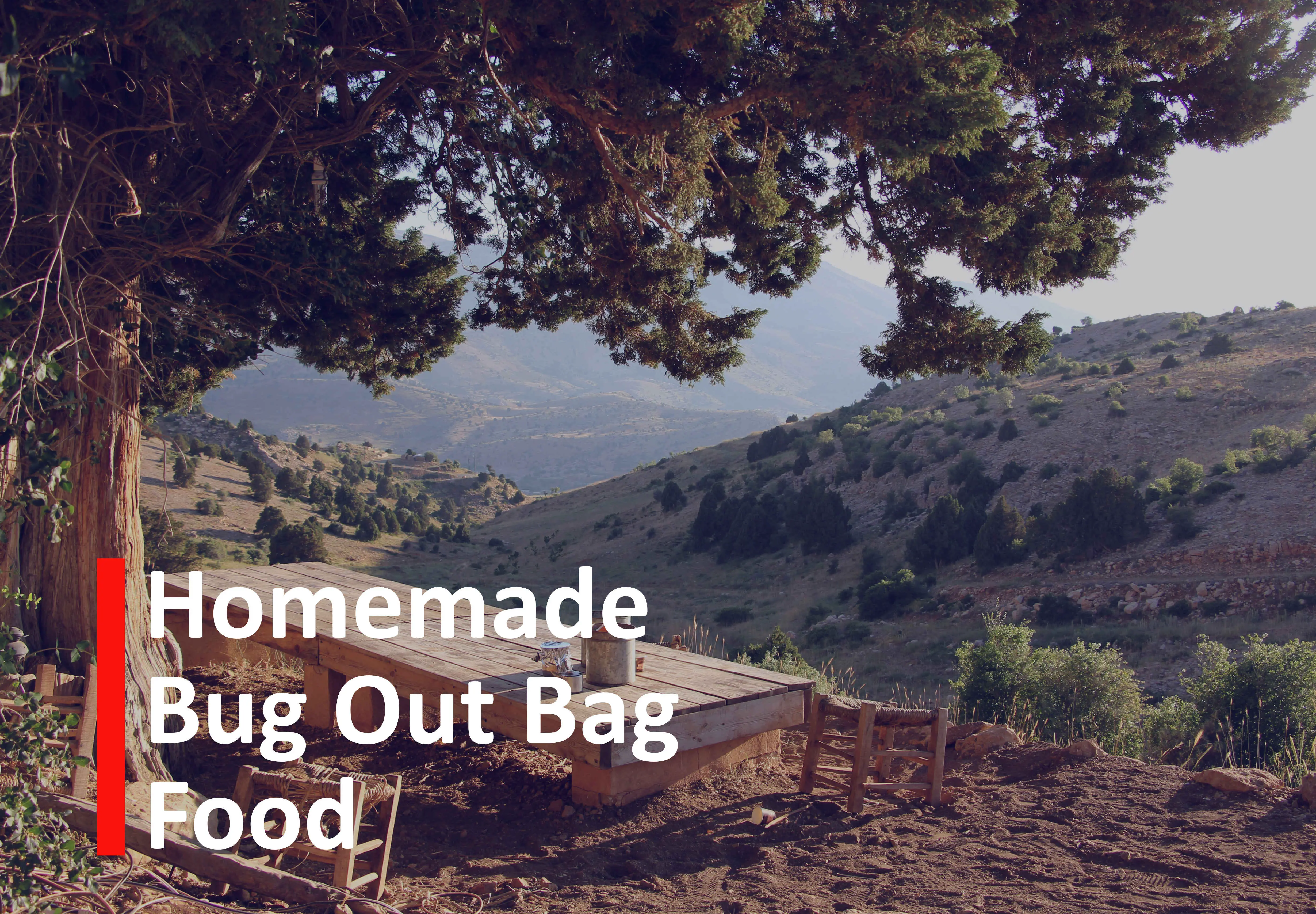 Homemade Bug Out Bag Food