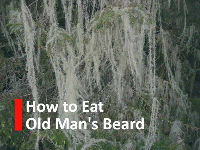 How to eat old man's beard