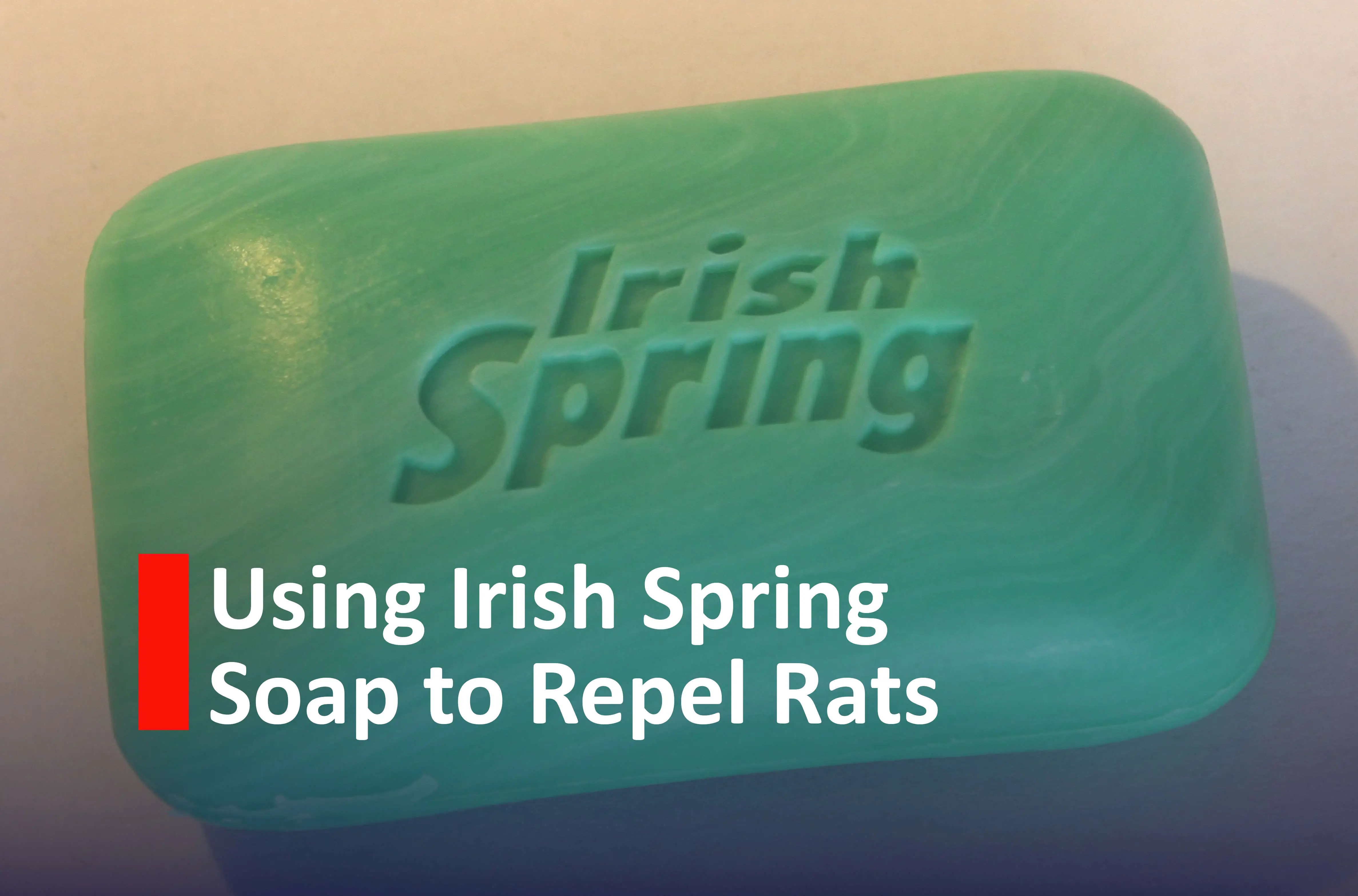 Using irish spring soap to repel rats